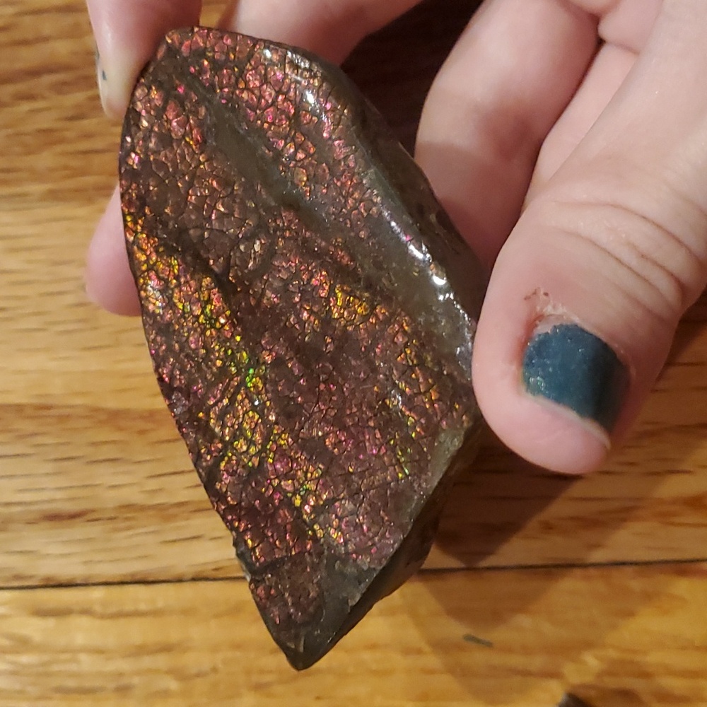Ammolite fossil lot - Picture 3 of 12
